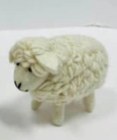 small white wool sheep